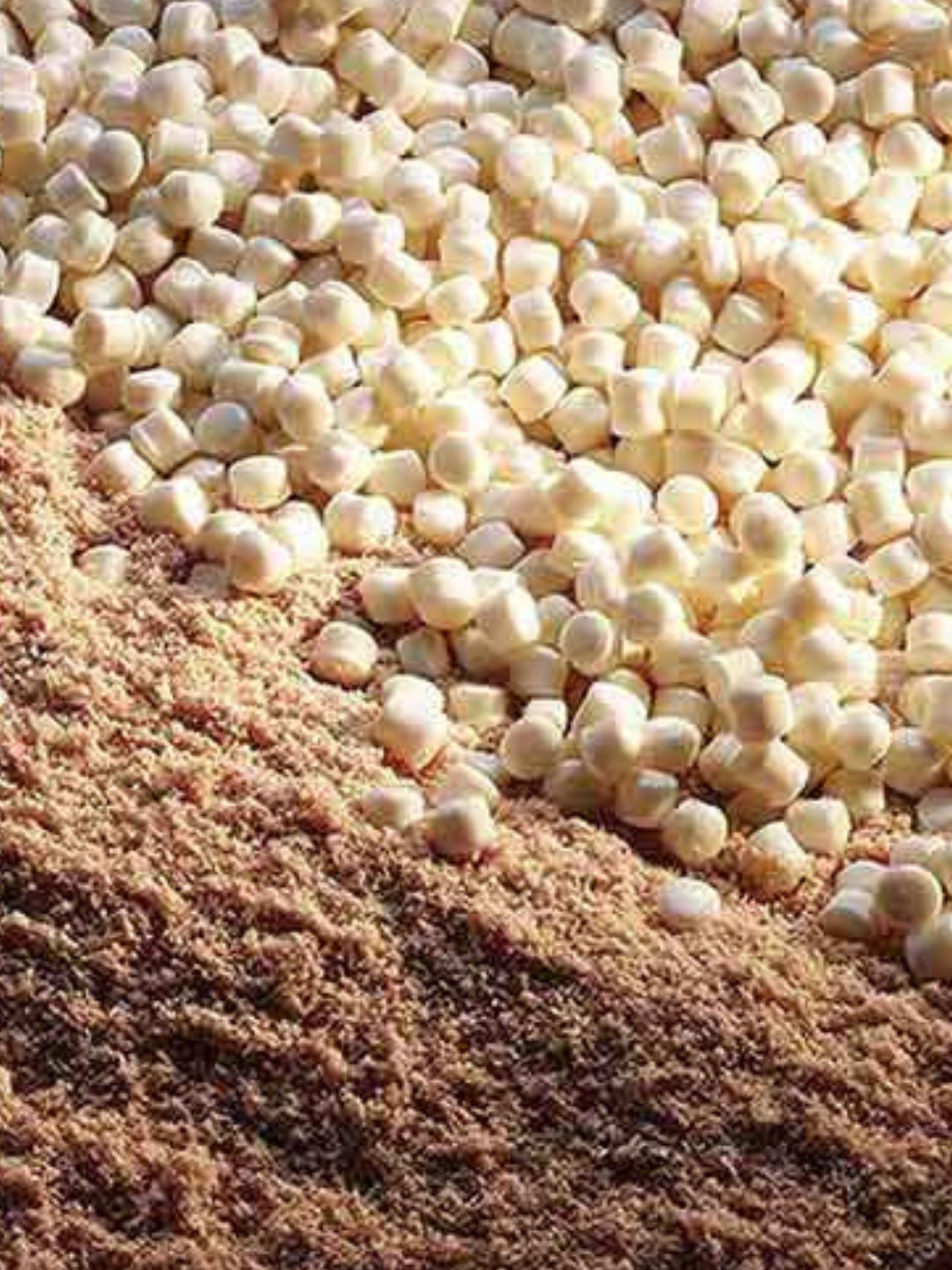 The Truth About Wood Flour in WPC: What the Data Actually Shows