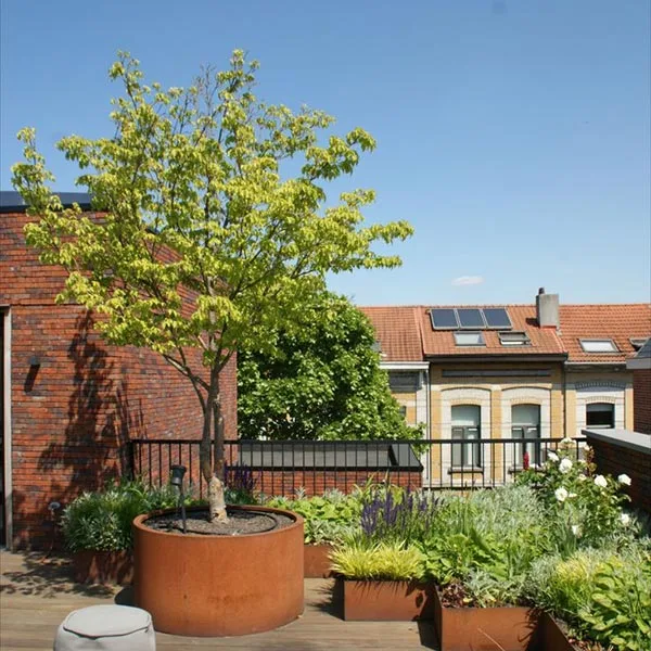 Plastic Wood Rooftop - USA
