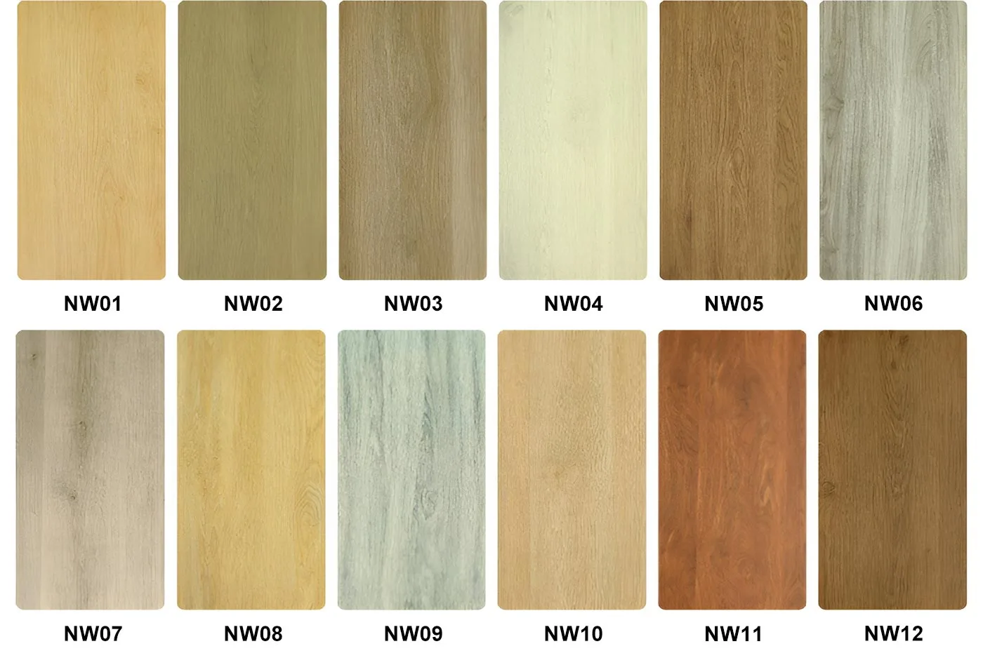 SPC Color Card